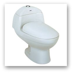 One_piece_toilet
